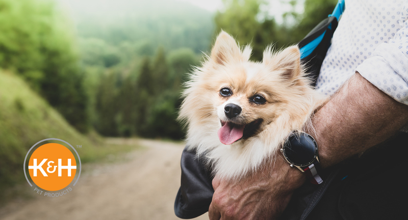 how much weight can a 50 lb dog carry