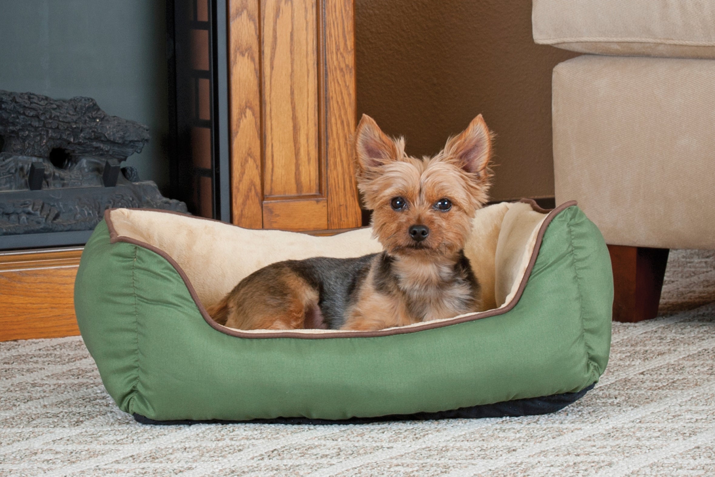 Why Do Dogs Scratch Their Beds? — K&H Pet Products