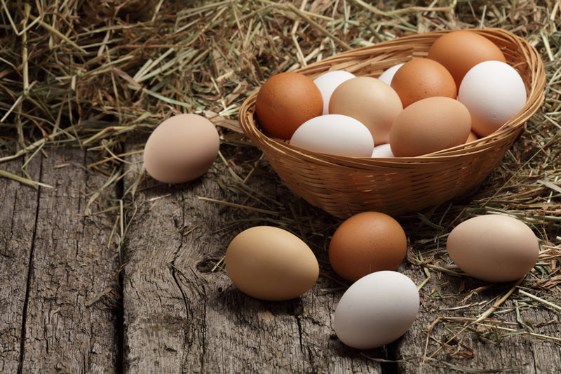 Four factors influence a hen's egg-laying abilities.