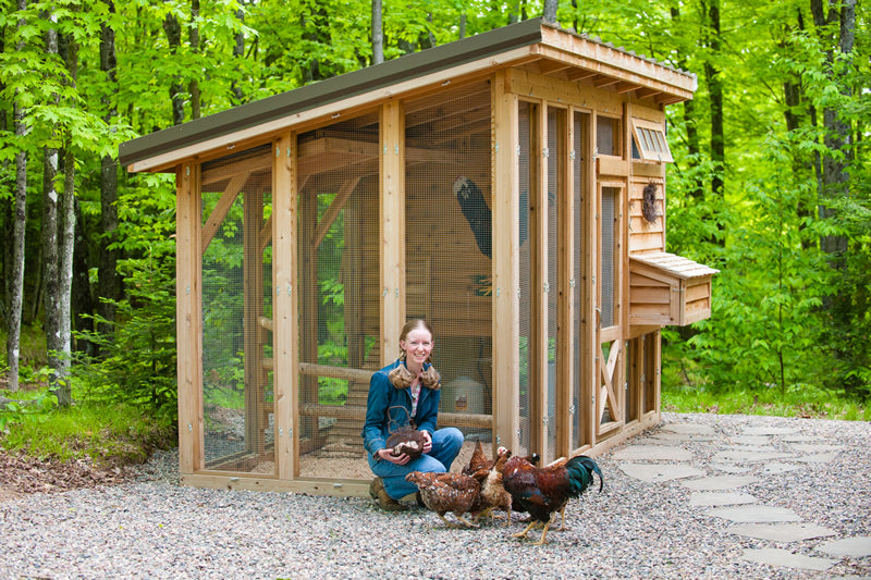 Young girl surrounded by chickens in front of chicken coop.