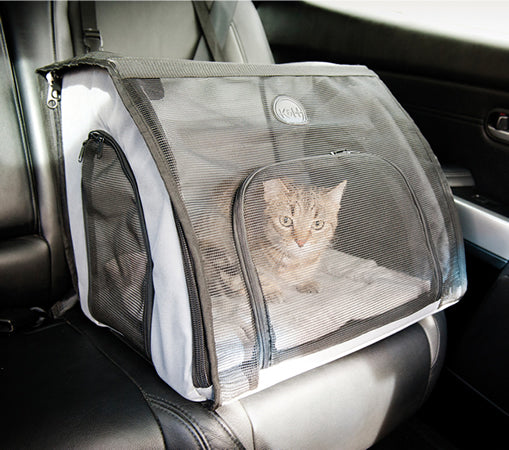 How to Travel with a Cat in a Car — K&H Pet Products