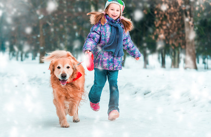 Getting a little exercise with a cold winter's hike can be a fun activity for you and your dog.