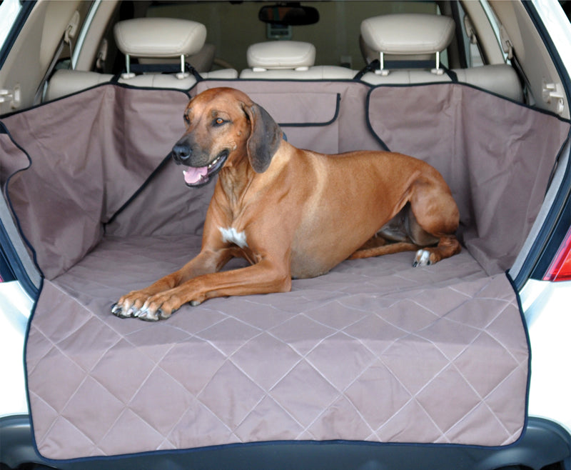 If you brush your dog regularly, less hair will fall onto your car's carpet.