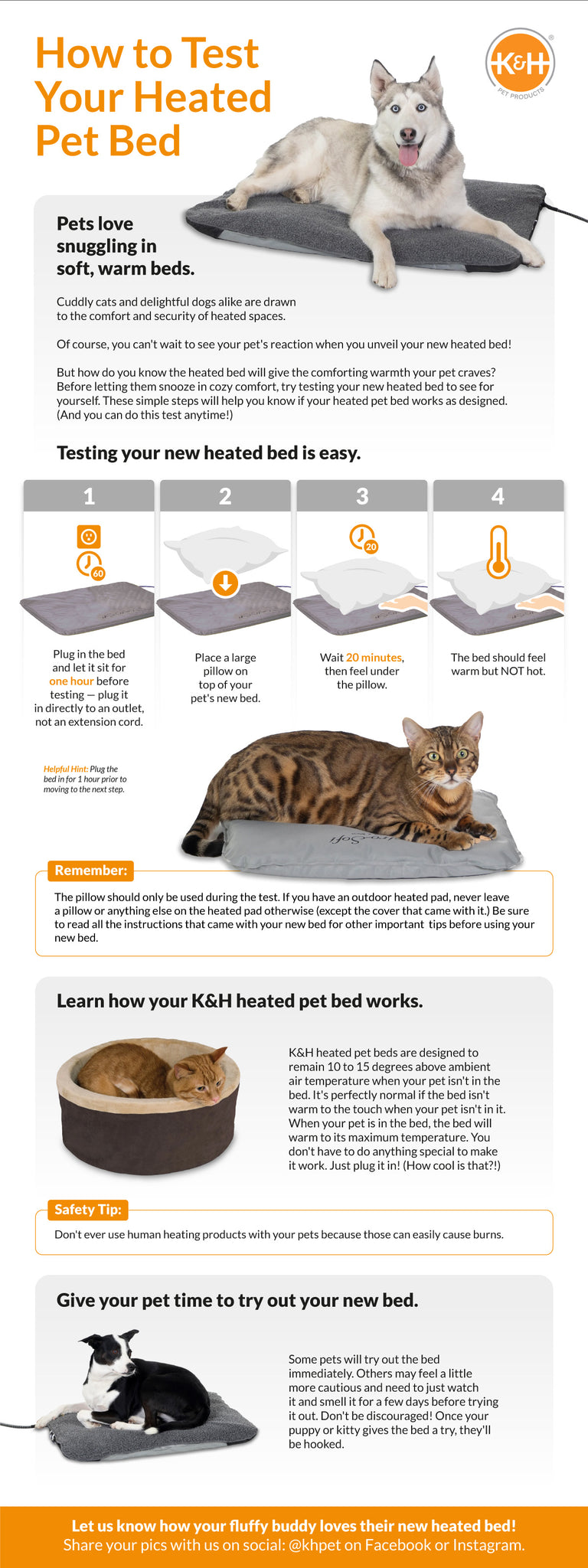 How to test your heated pet bed