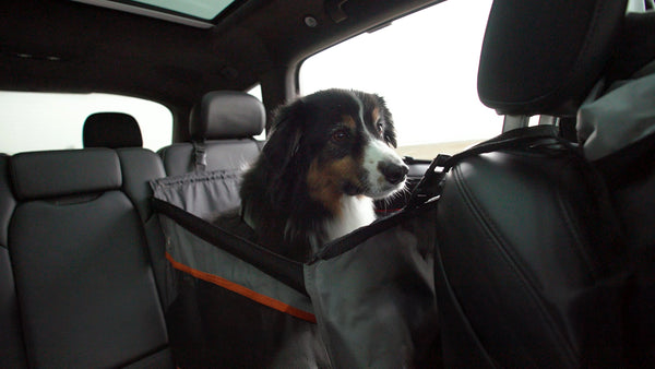 Your dog shouldn't ride in the front seat. Keep your pup safe with a car seat designed just him. We've got a few to consider.