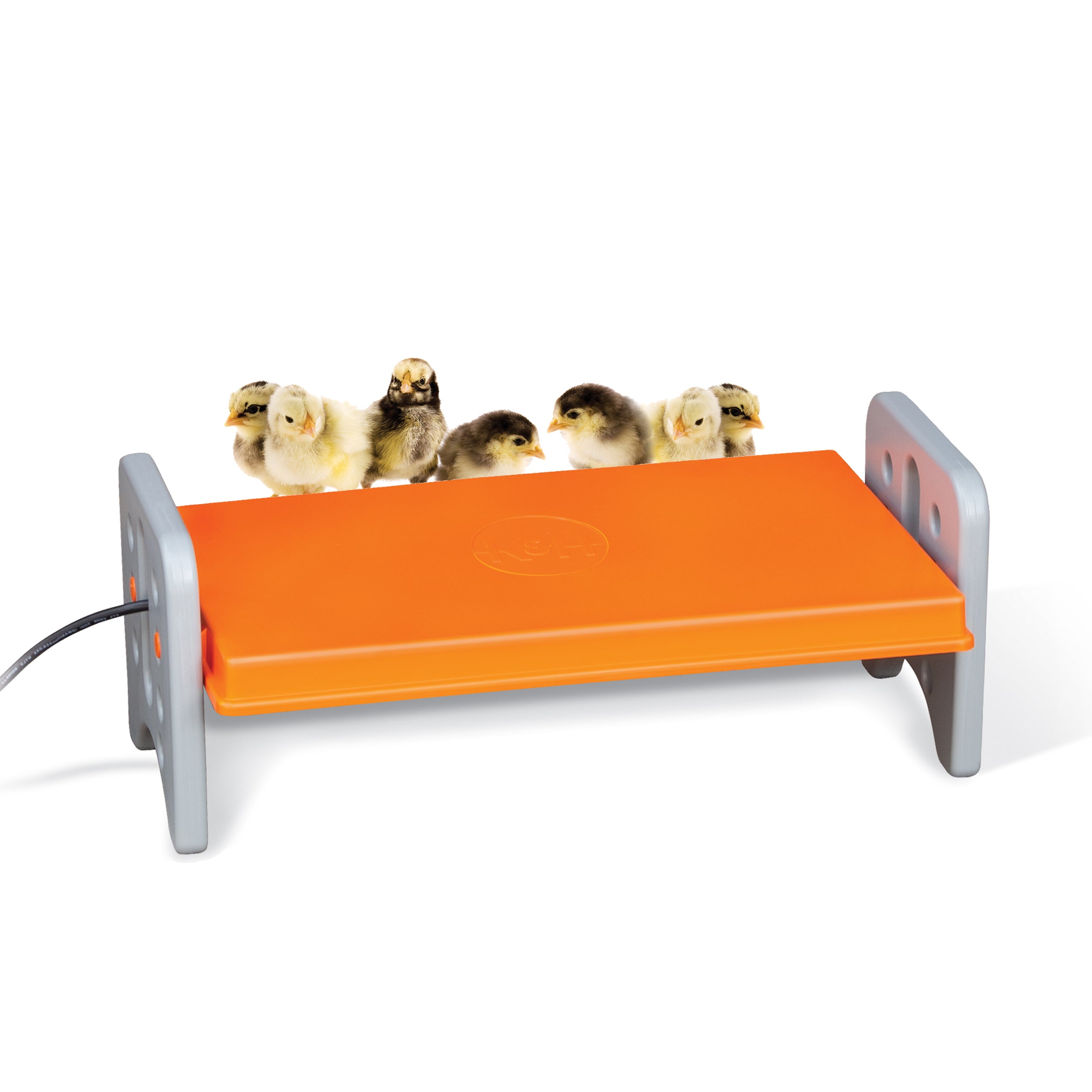 K&H Thermo-Poultry Brooder-image-10