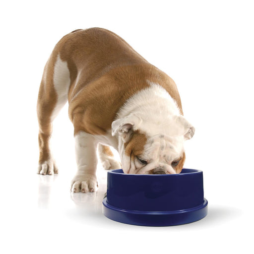 K&H Pet Products Pet Thermal Bowl Stainless Steel