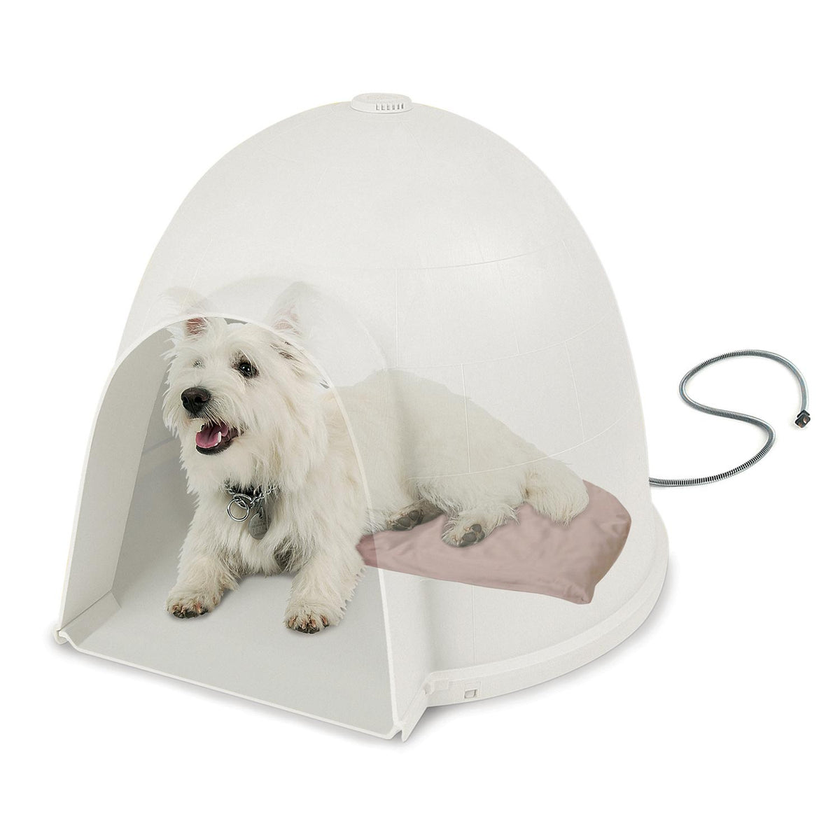 medium dog igloo bed