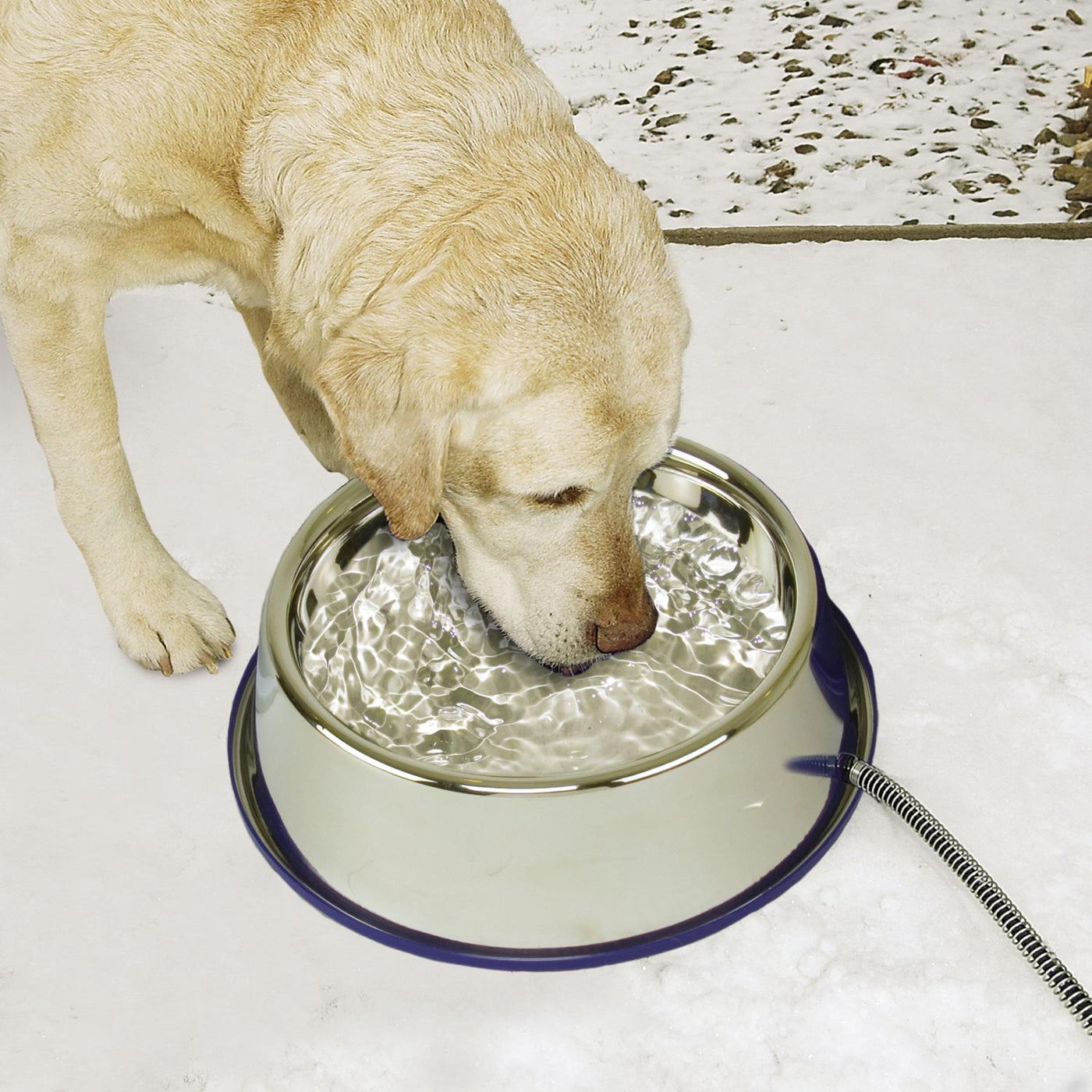 K&H ThermalBowl™ Heated Dog Water Bowl — K&H Pet Products