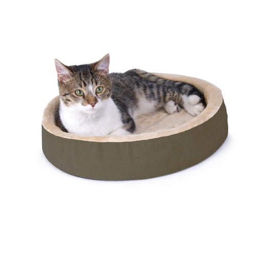 heated acorn cat bed