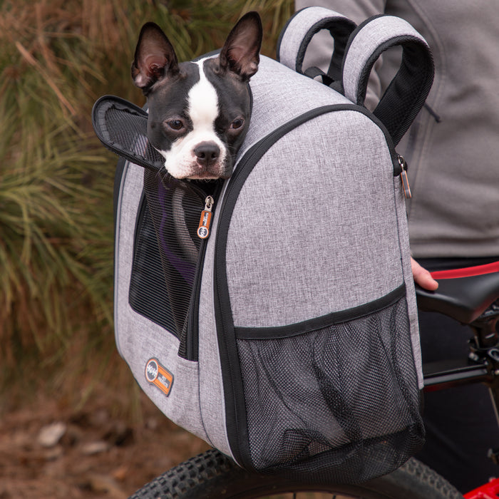 Travel Bike Backpack for Pet — K&H Pet Products