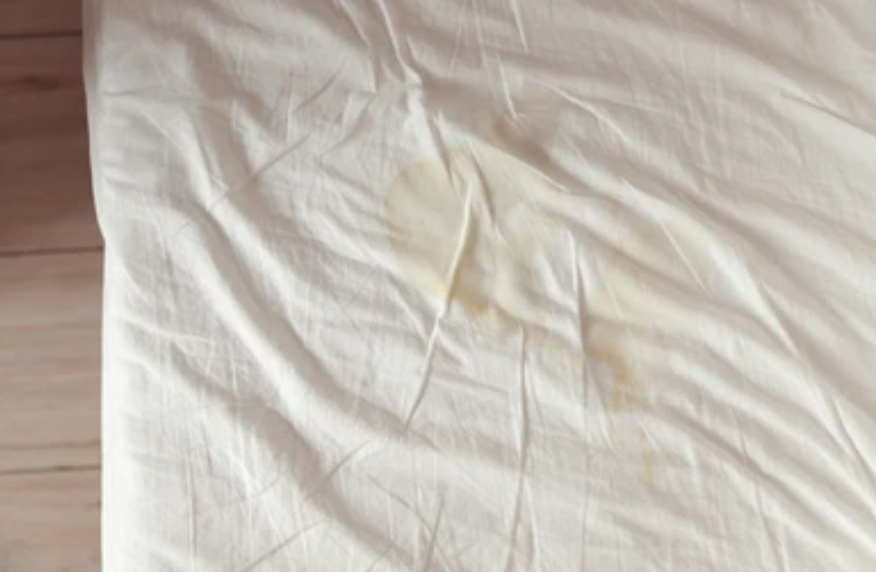 Remove Urine Stains Fast: How to Get Pee Out of a Mattress - 2