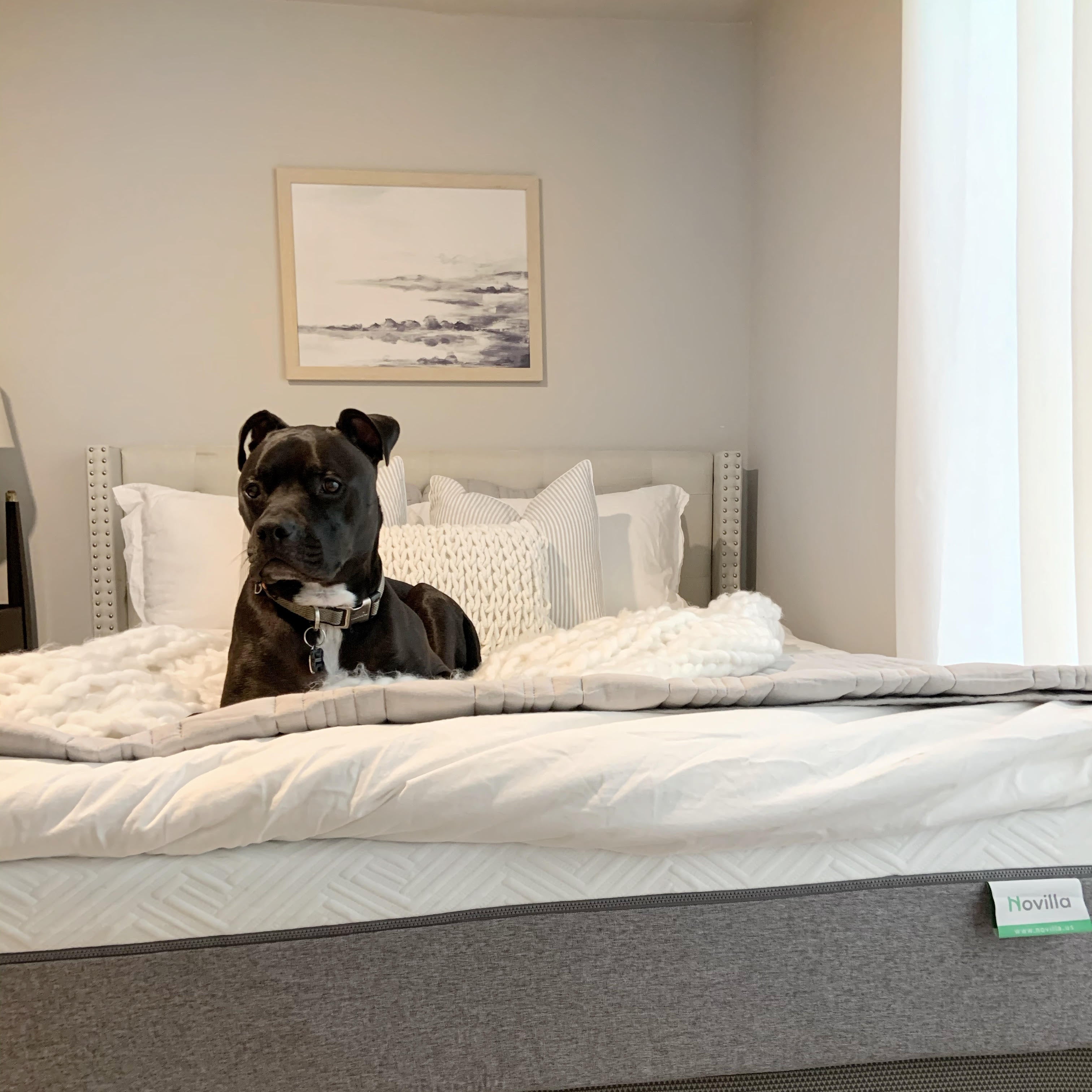 3 Features of a Mattress to Consider for A Good Night’s Sleep