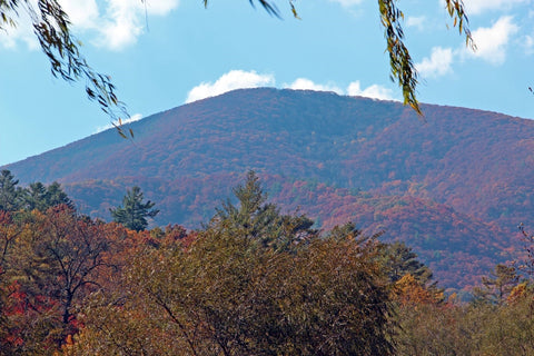 View of Blood Mountain with autumn leaves