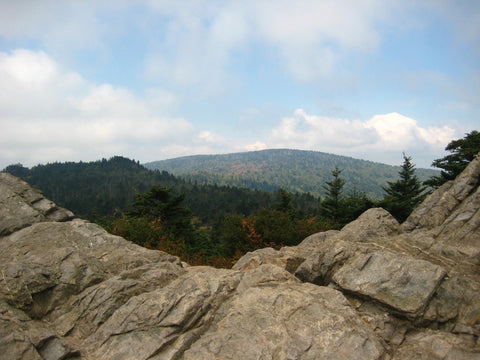 Panoramic View of Mount Rogers 