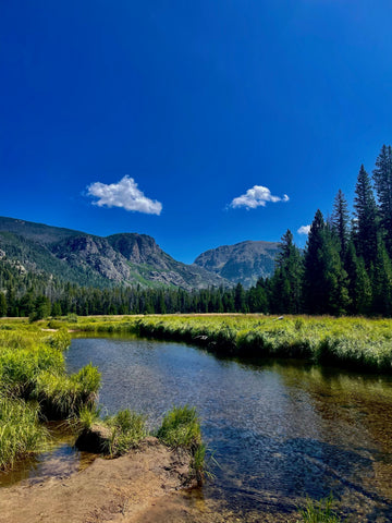 Guide to Rocky Mountain National Park Trips