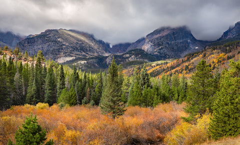 How to Visit Rocky Mountain National Park