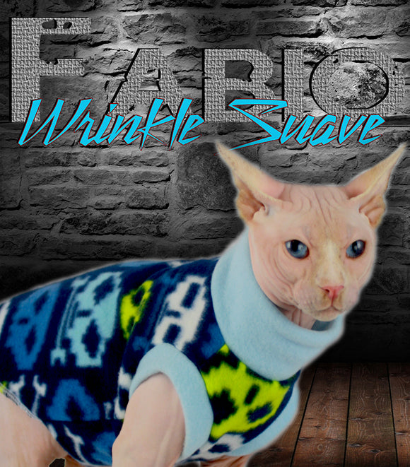 cute hairless cat in sweater