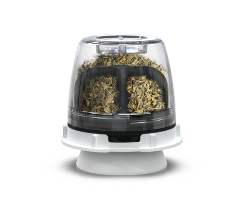 blog MAX Pod with Oregano