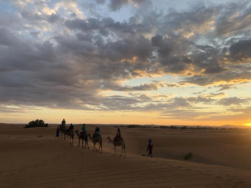 Riding camels in the Moroccan desert