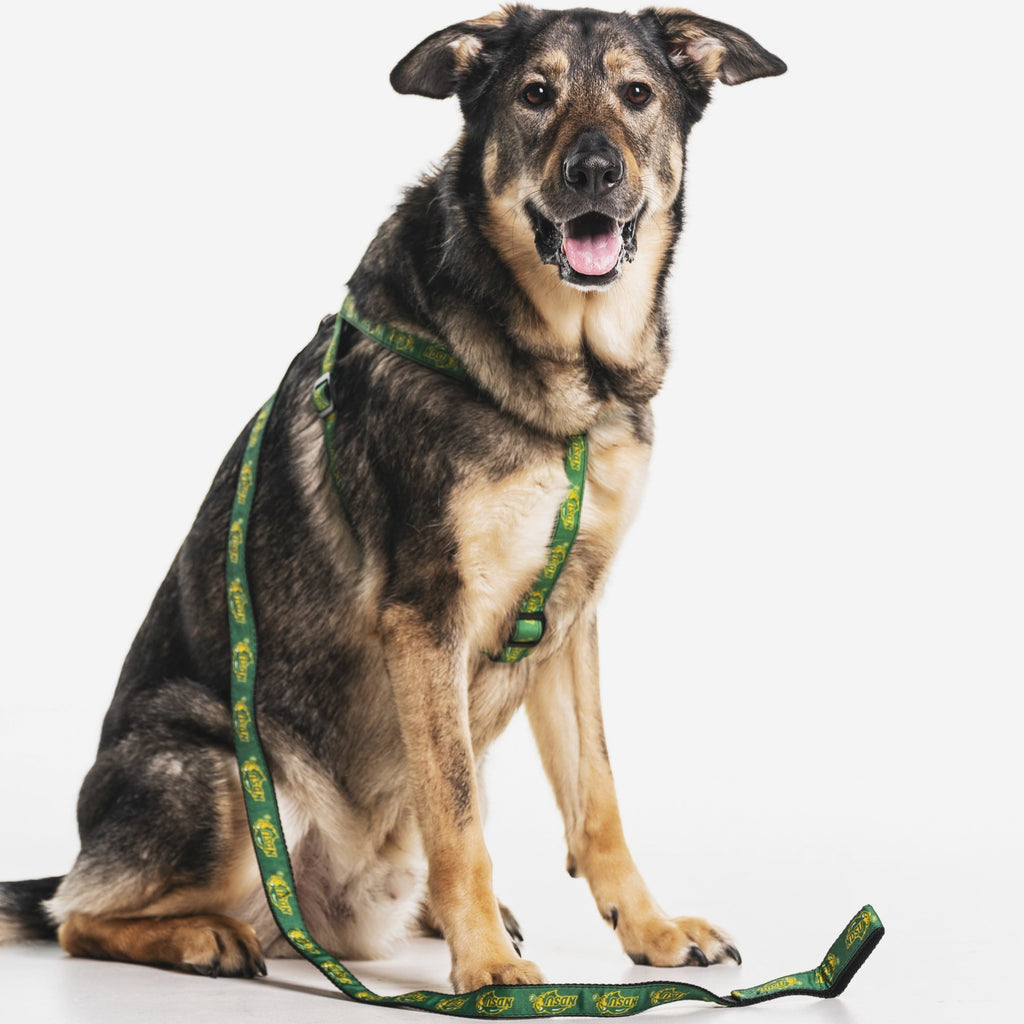 what is a step in dog harness