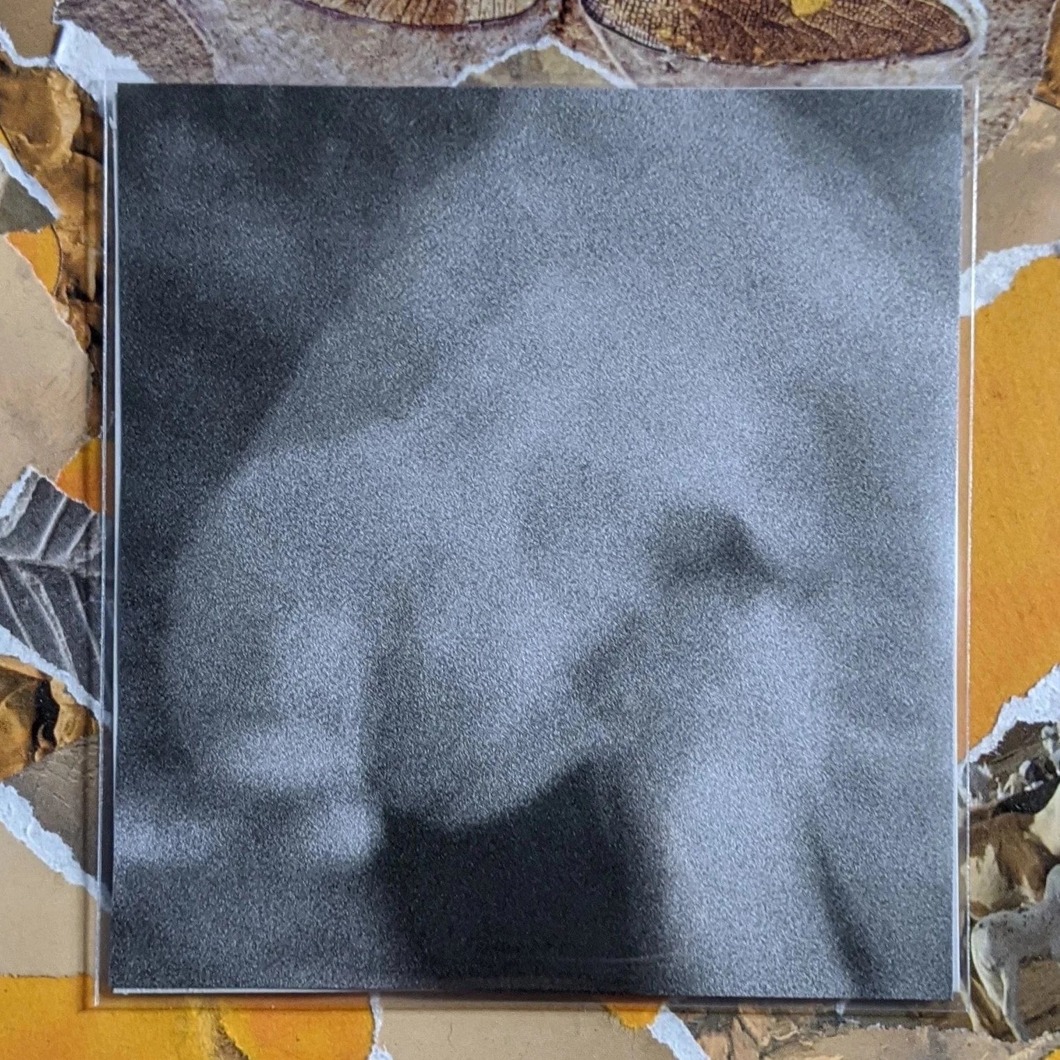 LUCI DEAD LIMB - Humors of the Blood and Skin Mini CD-R