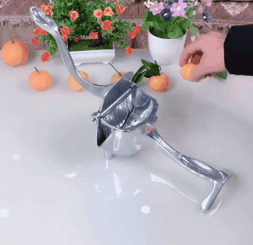 Stainless Steel Fruit Juicer – Blitz Crate