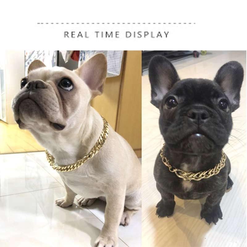 gold chain dog collar