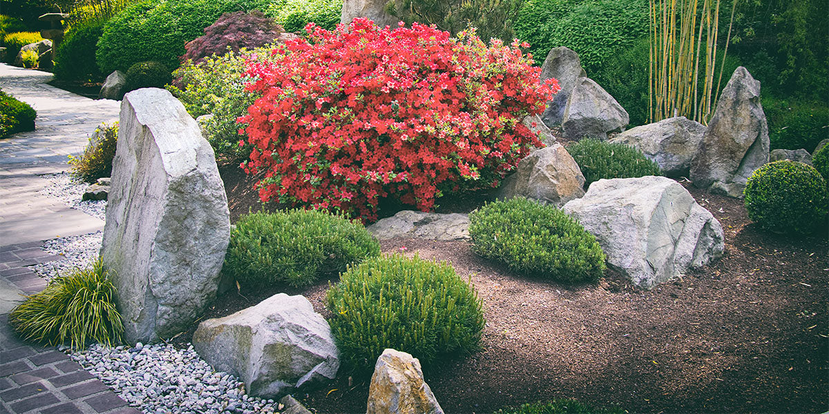 Add height to your yard with boulders, shrubs, ect.