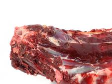 Goat Bone