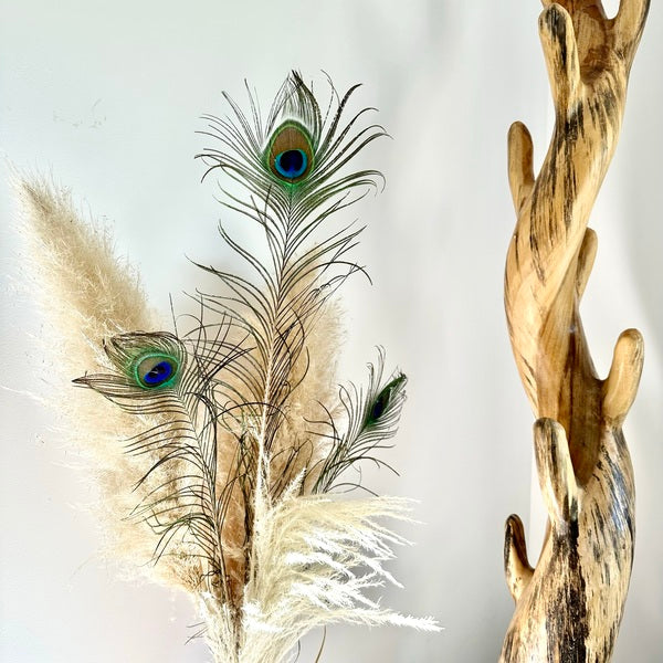 Plumes de paon blanches - Plumes de paon naturelles décoratives