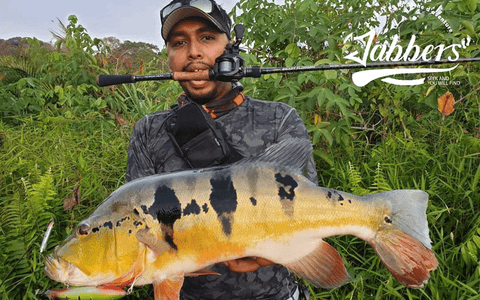 Jabbers Beast Flogger Casting BFC705H peacock bass