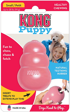 KONG Spin It Dog Toy — Naturally Unleashed