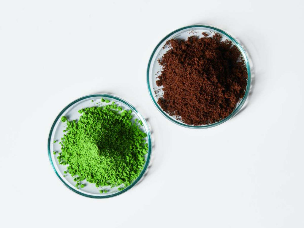 Matcha and coffee heaps in petri dishes