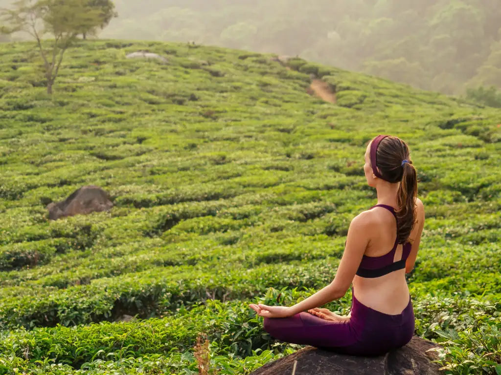 Yoga und Matcha