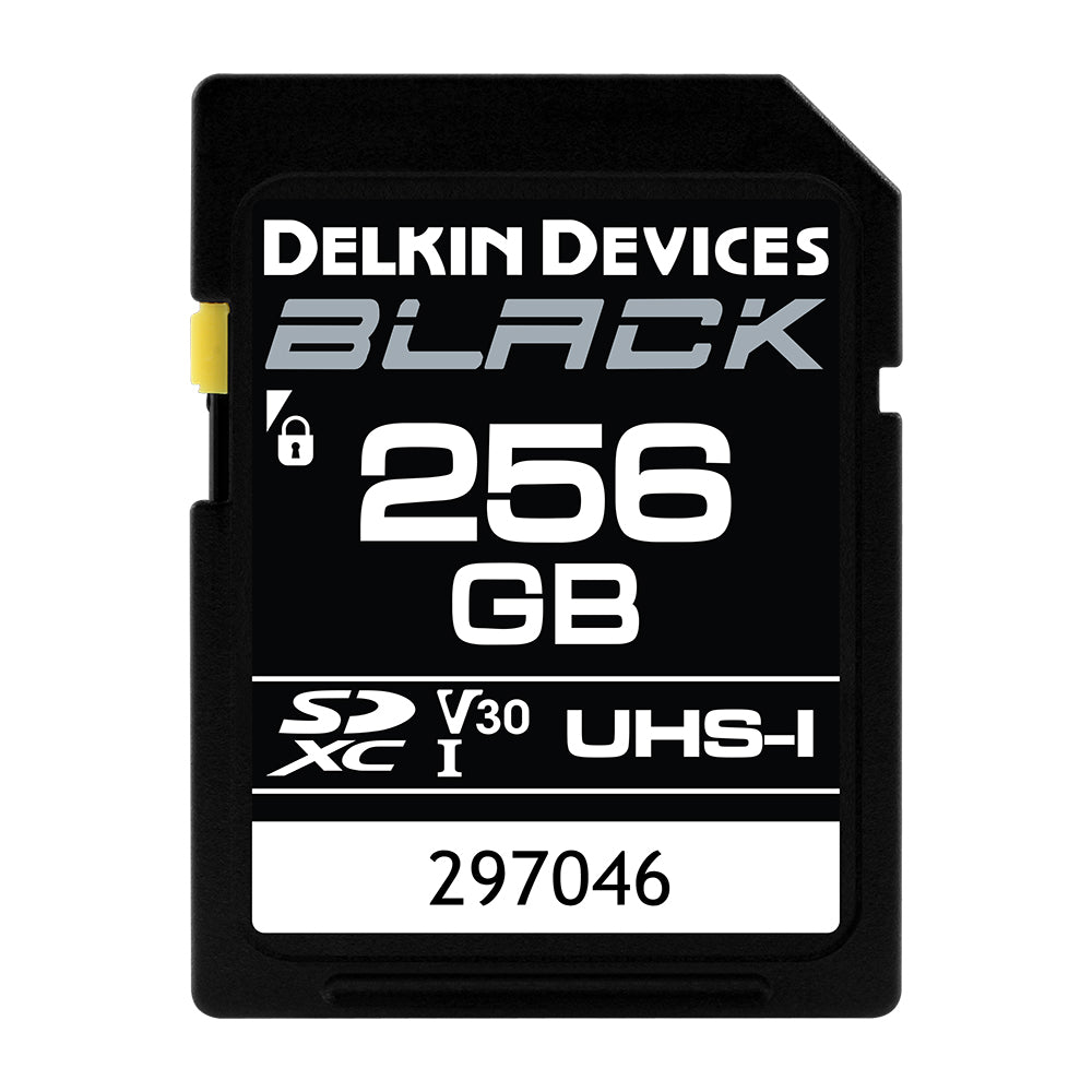Карты uhs ii. Delkin devices Black SDXC 64gb UHS-I v30. SDHC UHS-II. UHS-I, u3, v30. Sony SD Card 300 MB/S.