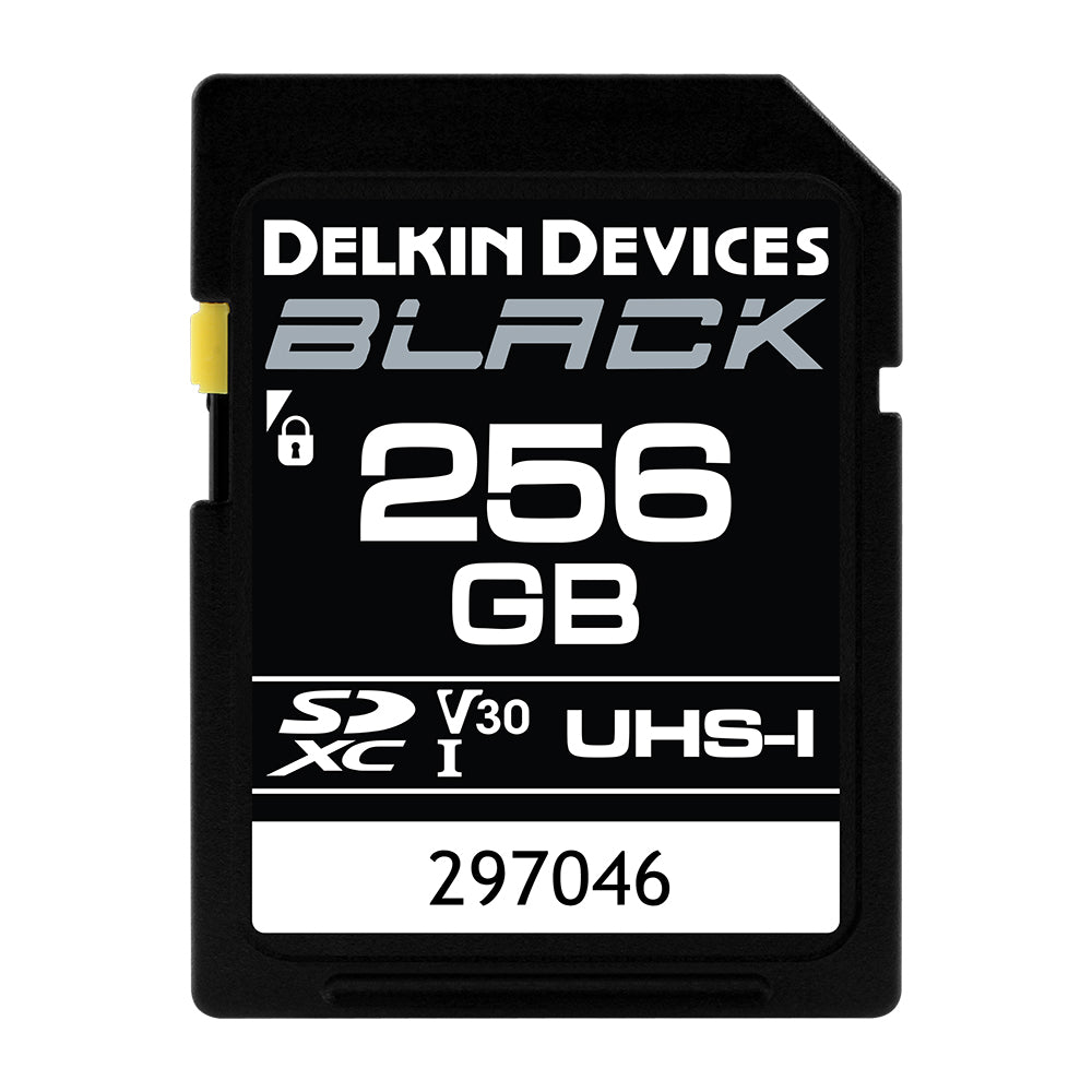 Карты памяти uhs i. Карта памяти Delkin devices 128 GB. Micro SDXC u3. Картридер SDXC UHS-II Sony. Карта памяти Delkin devices Power SDXC 32gb 2000x UHS-II class 10 v90 фото.