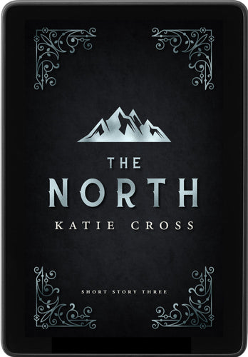 Viveet Audiobook (Novella #5 in the Network Saga) – Katie Cross