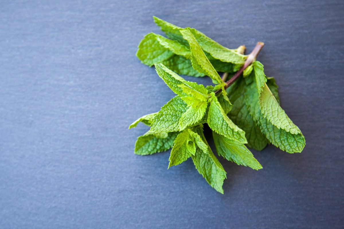 9 Benefits of Drinking Peppermint Mint Tea – Dragonfly Tea