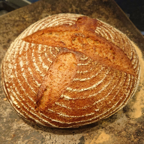 Sourdough_Cob