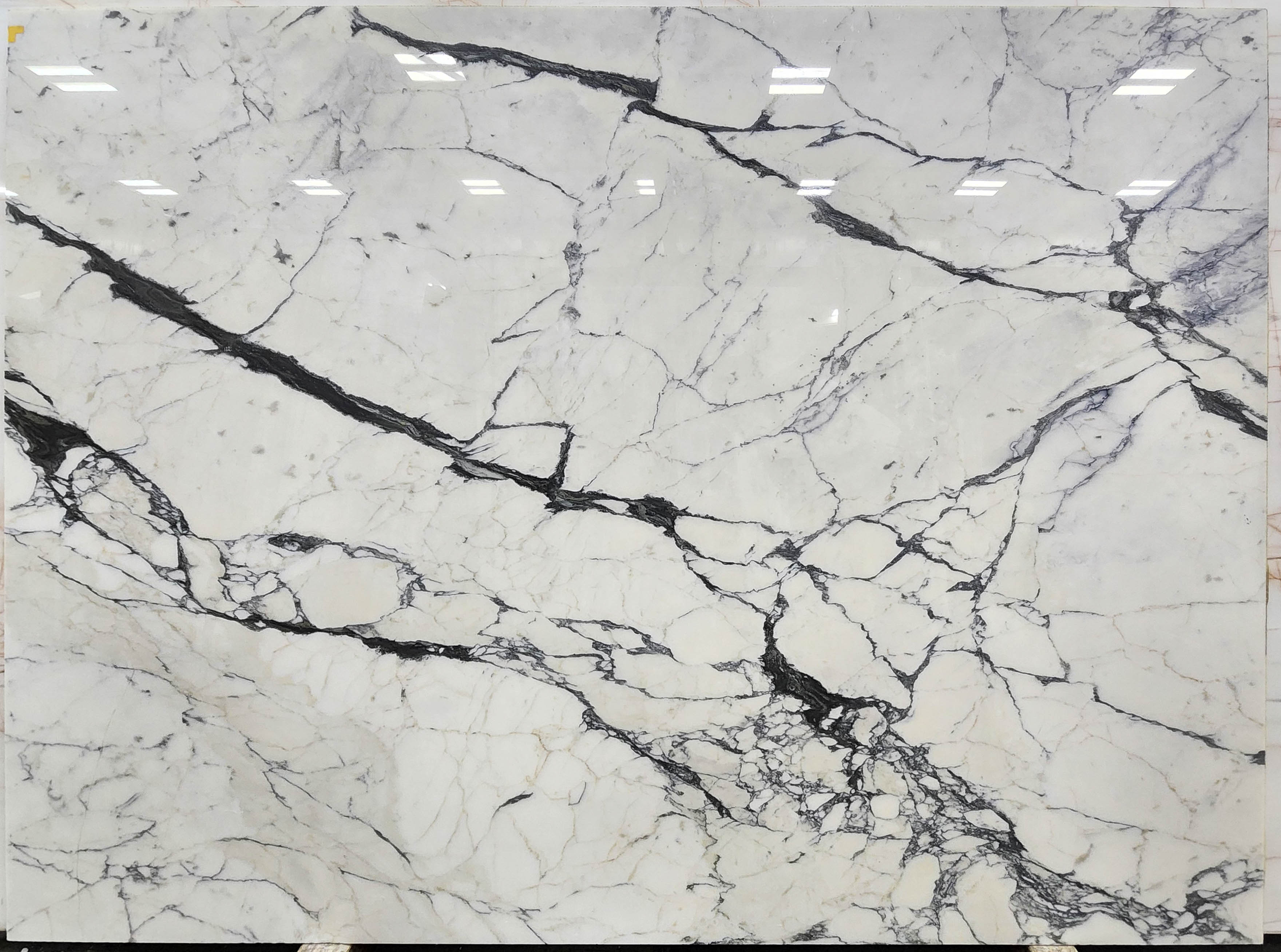  Arabescato Cervaiole Extra Marble Slab 3/4 - 206#29 -  63X86 