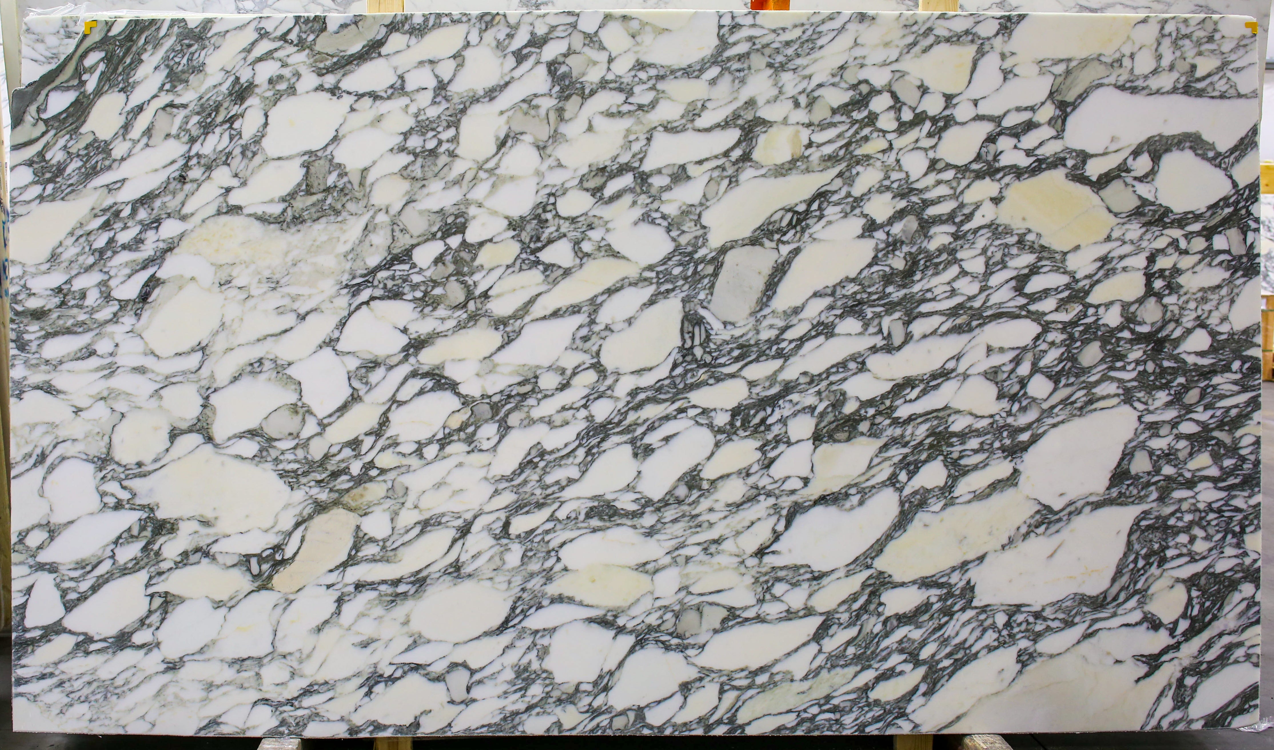  Arabescato Corchia A1 Select Marble Slab 3/4 - 1951#58 -  64x106 