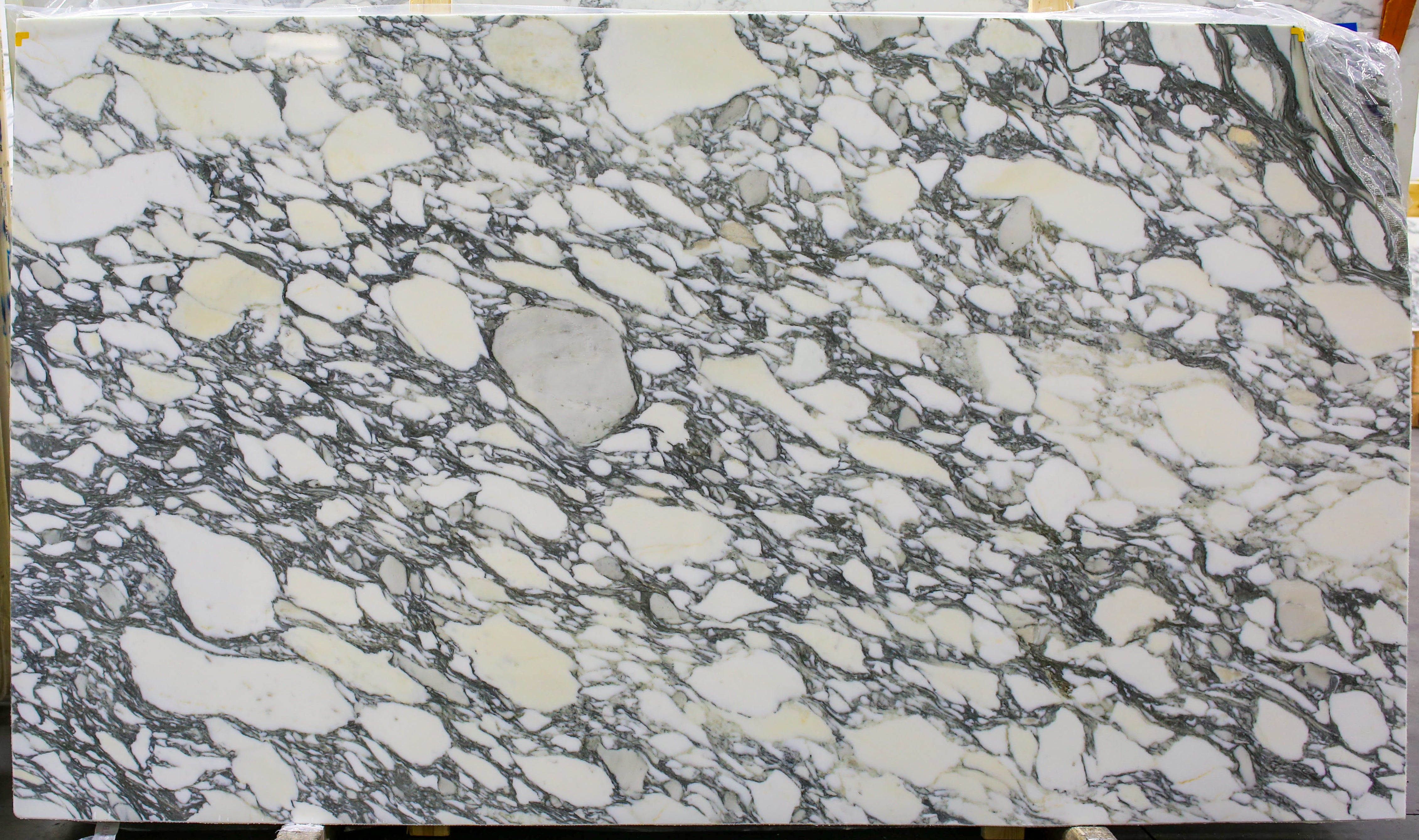  Arabescato Corchia A1 Select Marble Slab 3/4 - 1951#61 -  64x103 