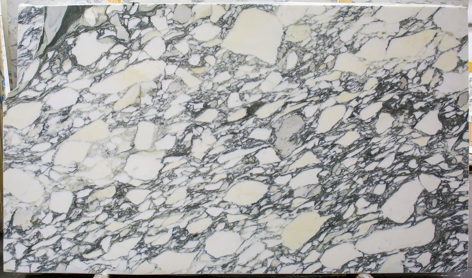  Arabescato Corchia A1 Select Marble Slab 3/4 - 1951#64 -  64x102 