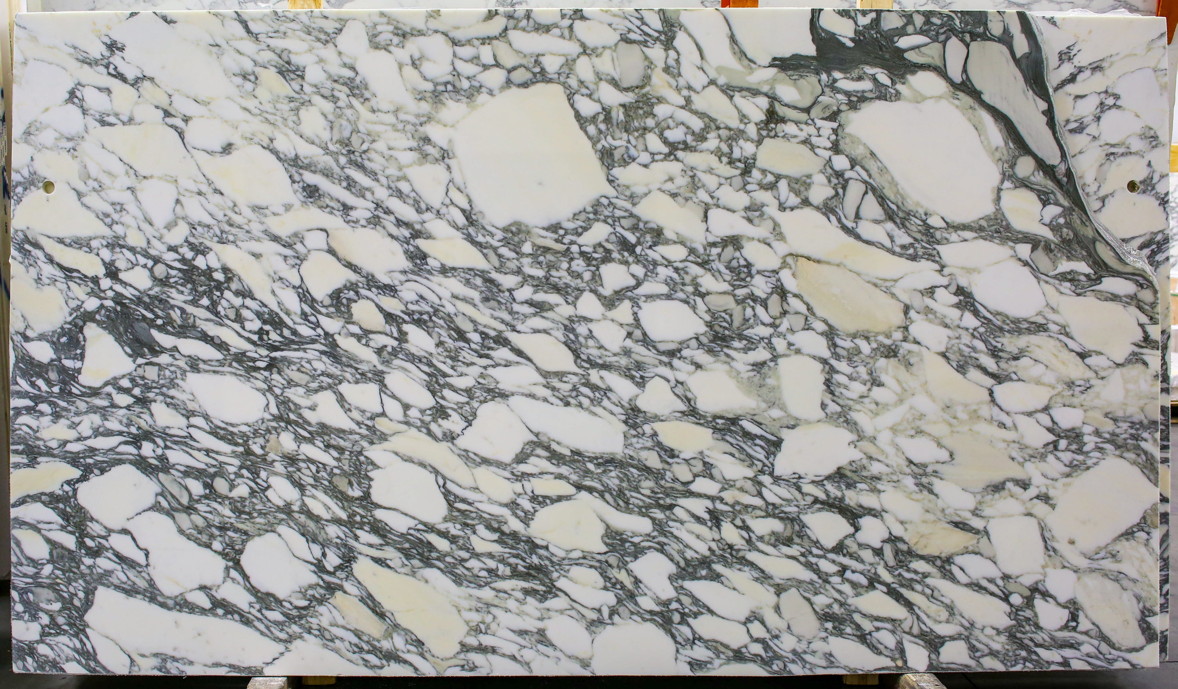  Arabescato Corchia A1 Select Marble Slab 3/4 - 1951#67 -  64x95 