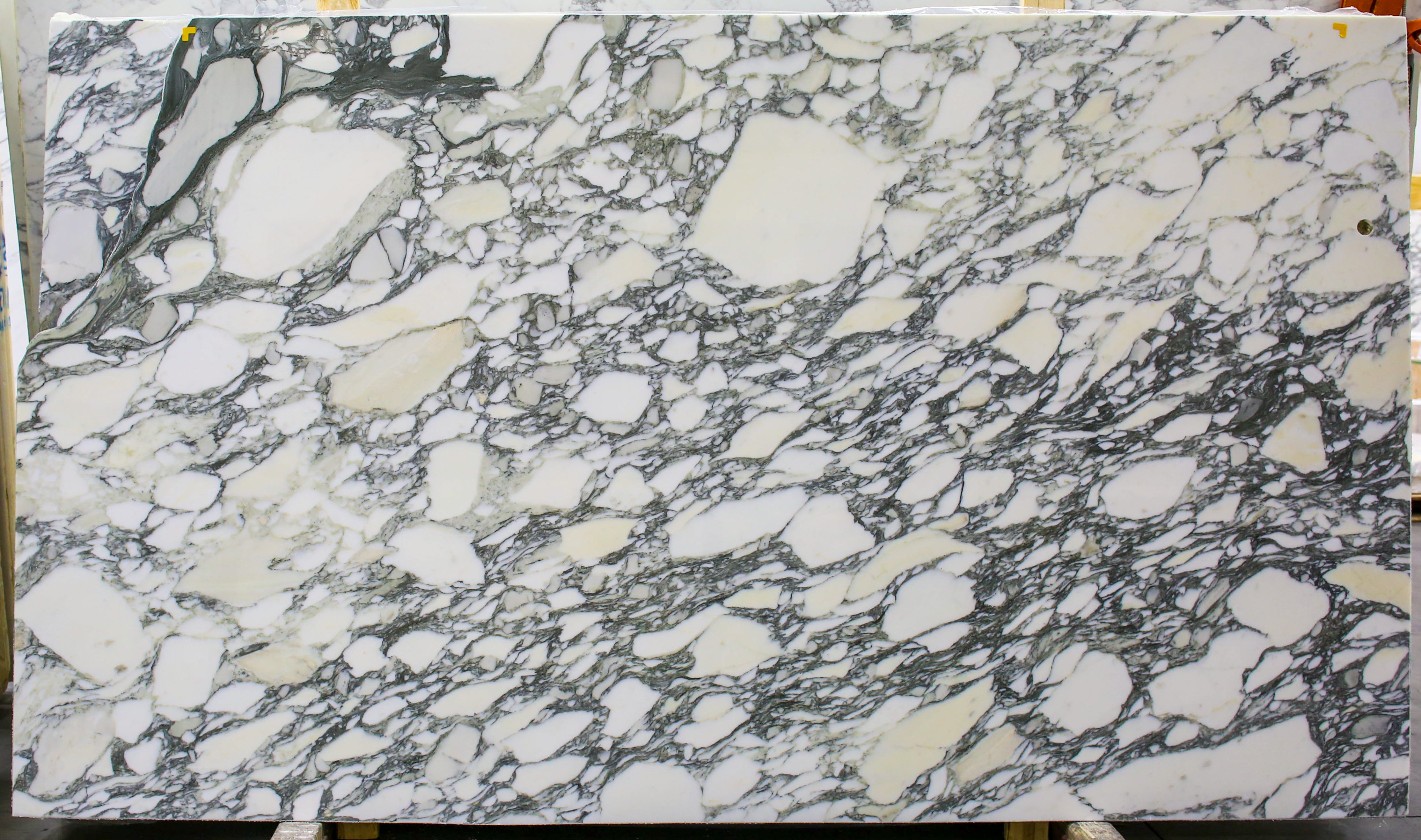  Arabescato Corchia A1 Select Marble Slab 3/4 - 1951#68 -  64x95 