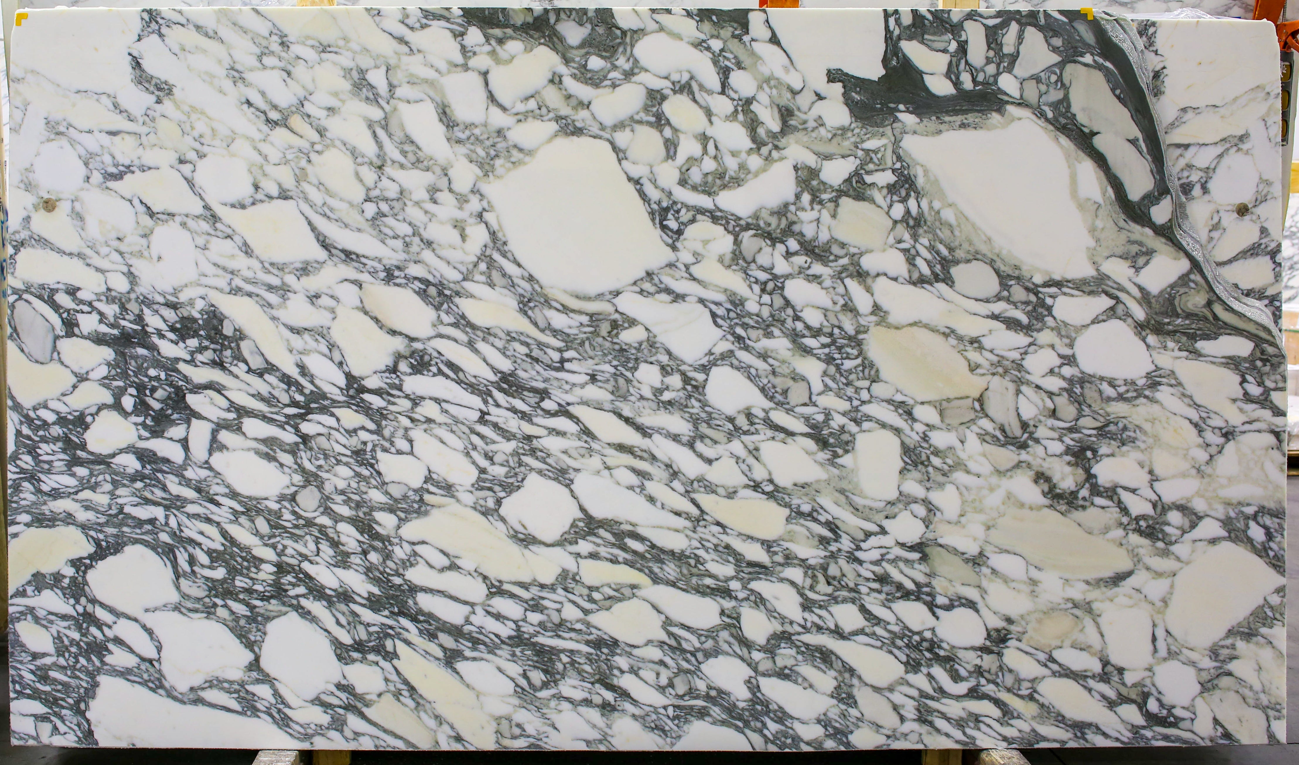  Arabescato Corchia A1 Select Marble Slab 3/4 - 1951#69 -  64x95 