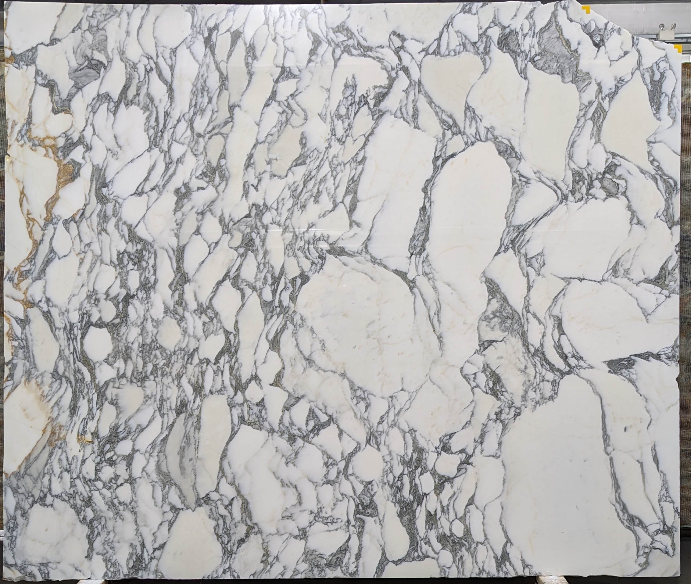  Arabescato Corchia A1 Select Marble Slab 3/4 - 28698#64 -  73x94 