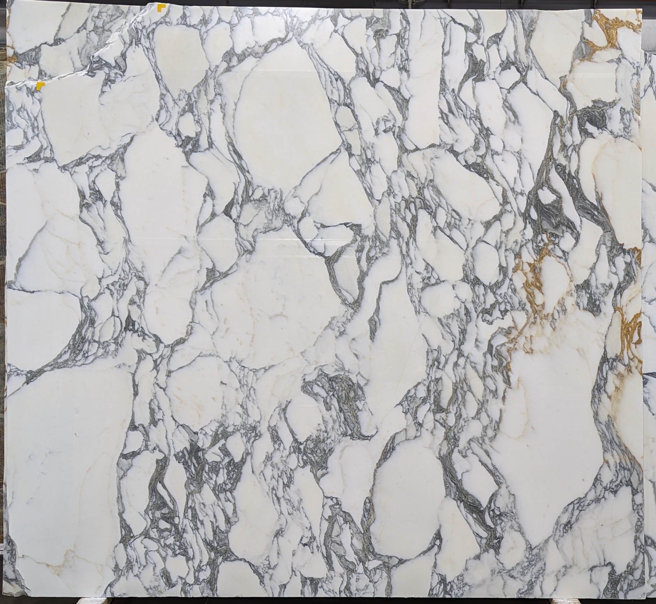  Arabescato Corchia A1 Select Marble Slab 3/4 - 28698#67 -  69x83 