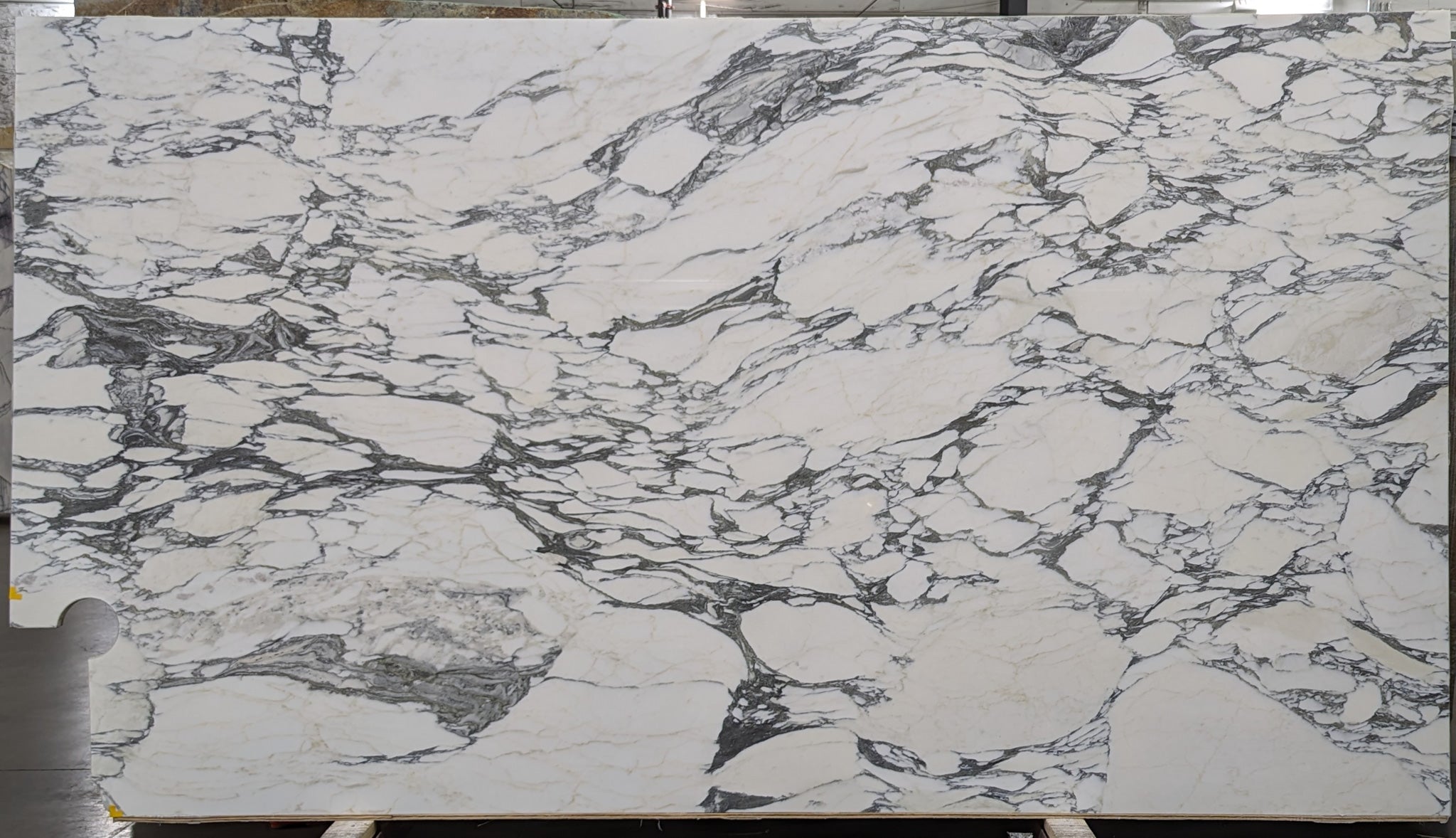  Arabescato Corchia A1 Select Marble Slab 3/4 - 878#62 -  52x130 